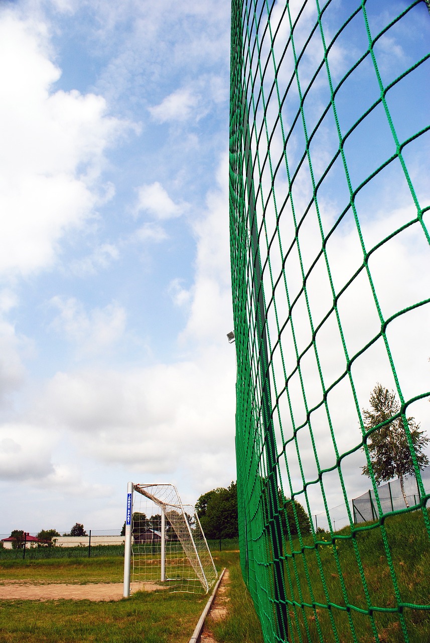 来继续创造 来继续创造