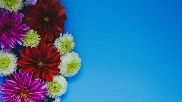 日常训练的 日常训练的