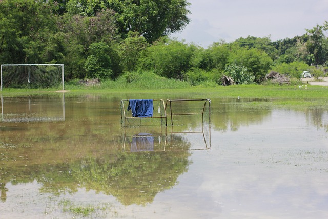 张意义非凡 张意义非凡