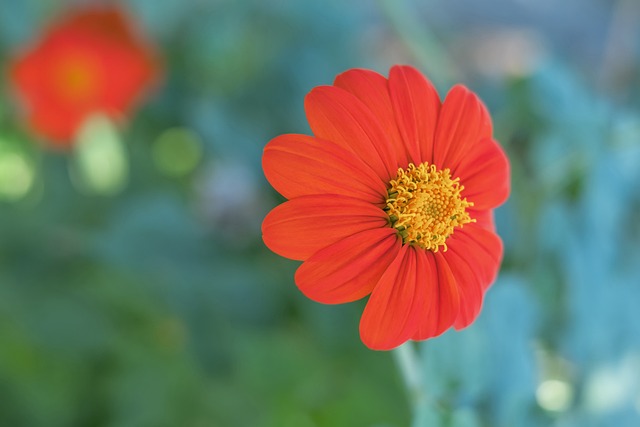 充满挑战的 充满挑战的