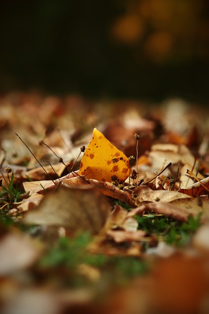 相比于一味 相比于一味