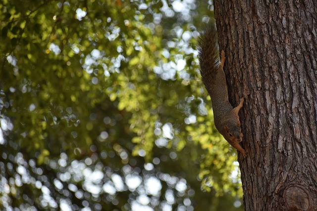 不小的压力 不小的压力
