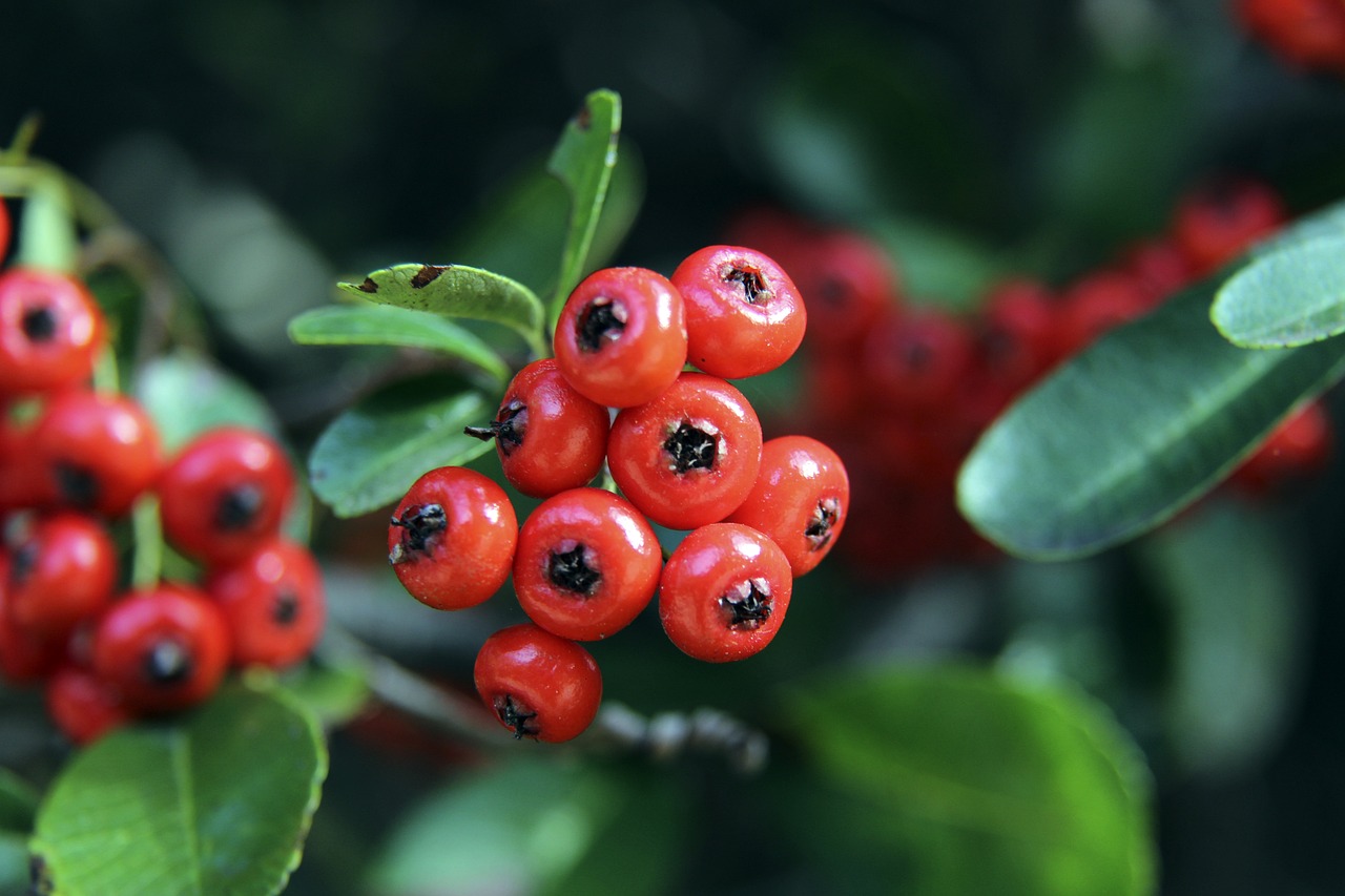 用专业的态 用专业的态