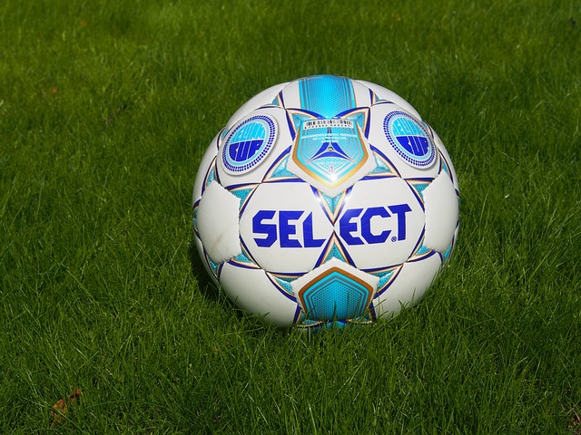 的重大进步 的重大进步